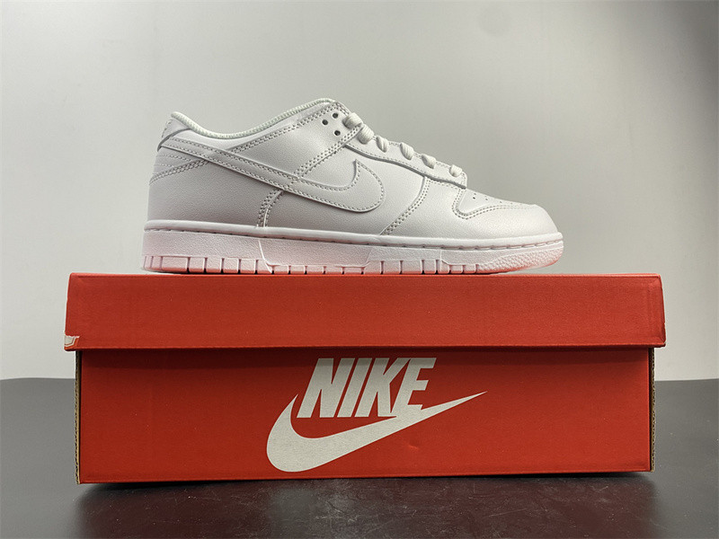 NIKE SB DUNK LOW