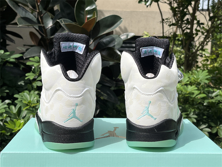 Air Jordan 5 Retro