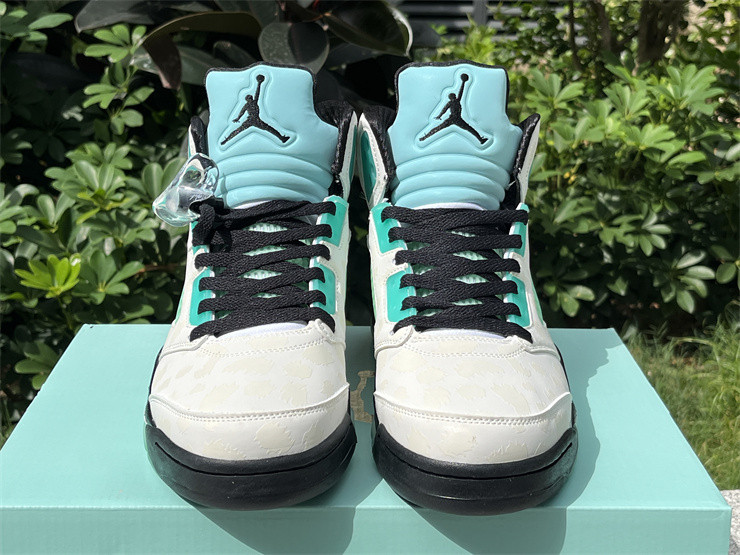 Air Jordan 5 Retro