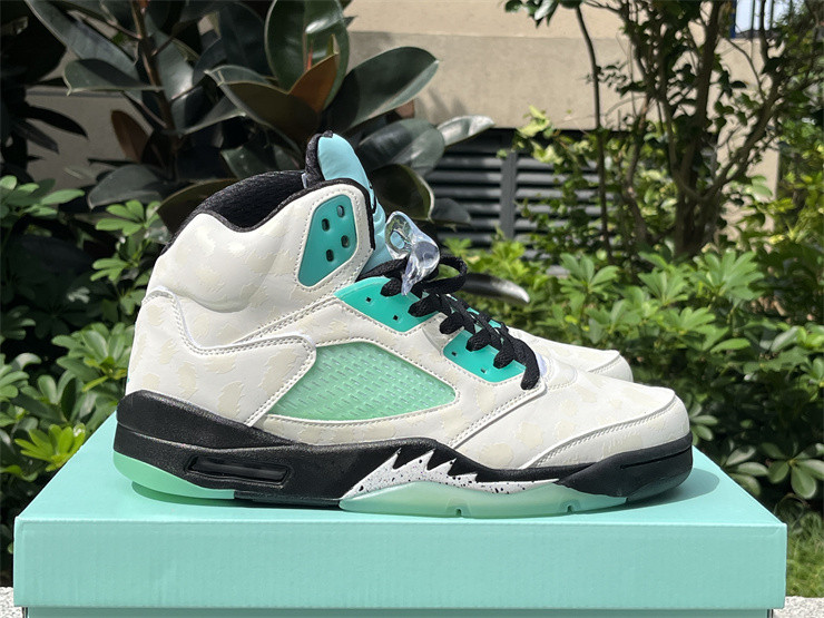 Air Jordan 5 Retro