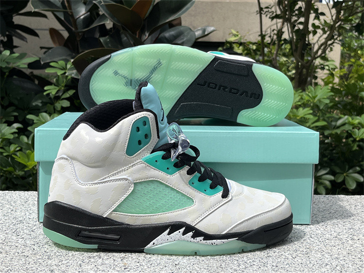 Air Jordan 5 Retro